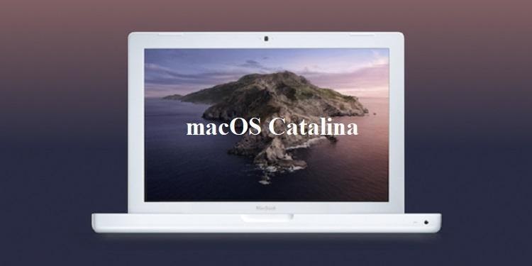 Problems With Mac Catalina